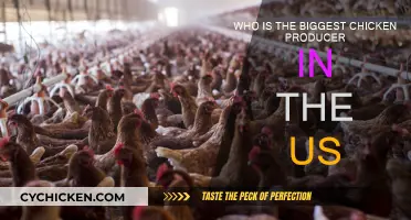 Leading US Chicken Producer: [Company Name]