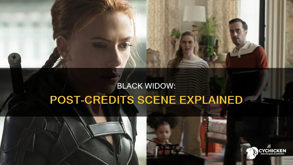 who is the chick at the end of black widow