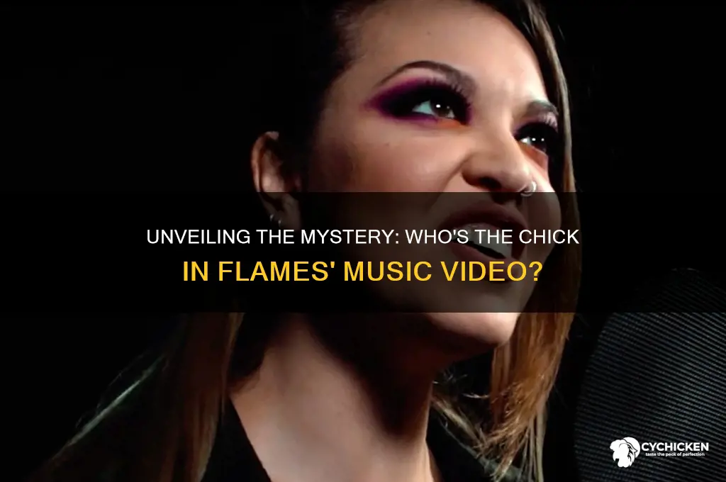 who is the chick in flames music viodeo