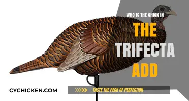 Unveiling the Chick in the Trifecta Ad: Who's the Star?
