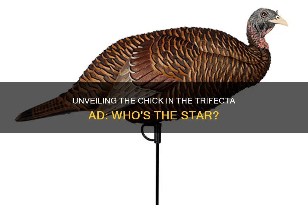 who is the chick in the trifecta add