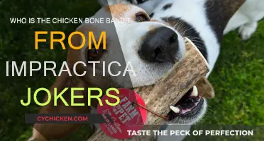 The Impractical Jokers' Chicken Bone Bandit Unveiled
