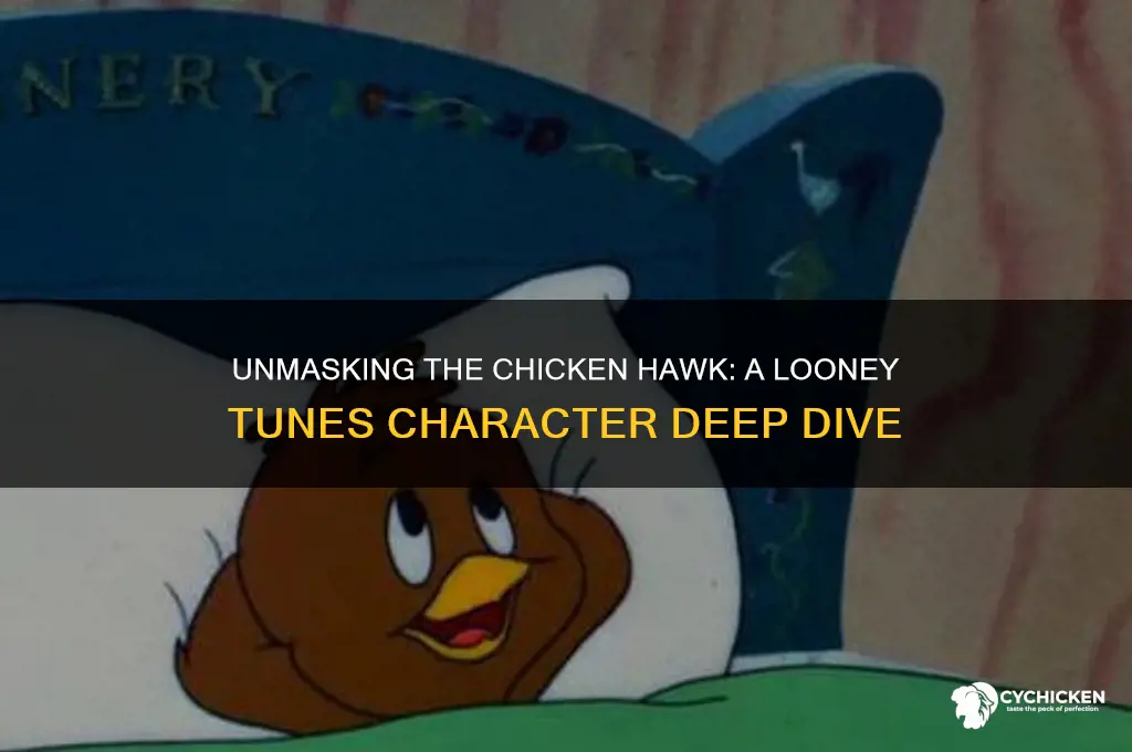 who is the chicken hawk in looney toons