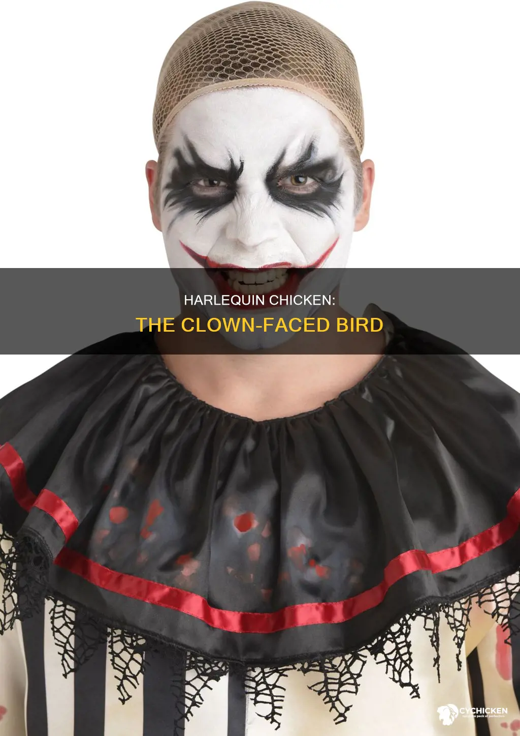 who is the clown faced black and white chick