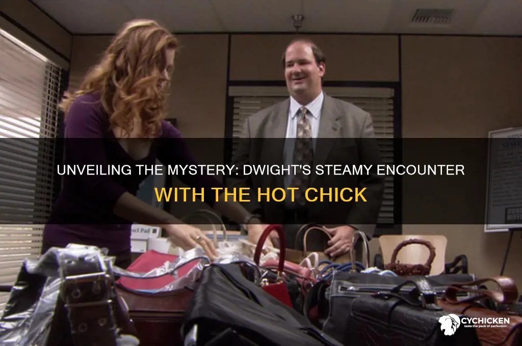 who is the hot chick dwight sleeps with
