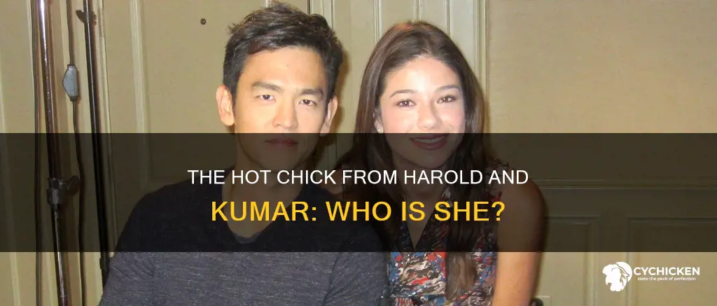 who is the hot chick from harold and kumar
