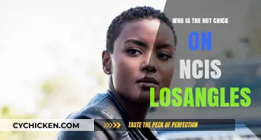 Meet NCIS: Los Angeles' Stunning Female Star: Who's the Hot Chick?