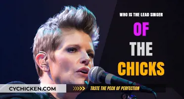 Meet Natalie Maines: The Chicks' Iconic Lead Singer