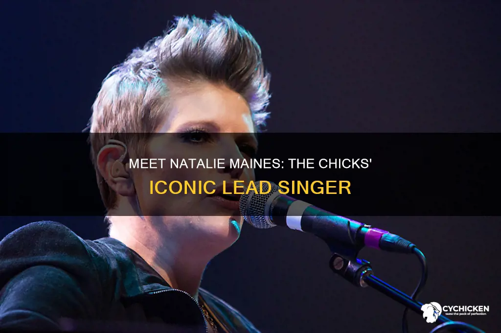 who is the lead singer of the chicks