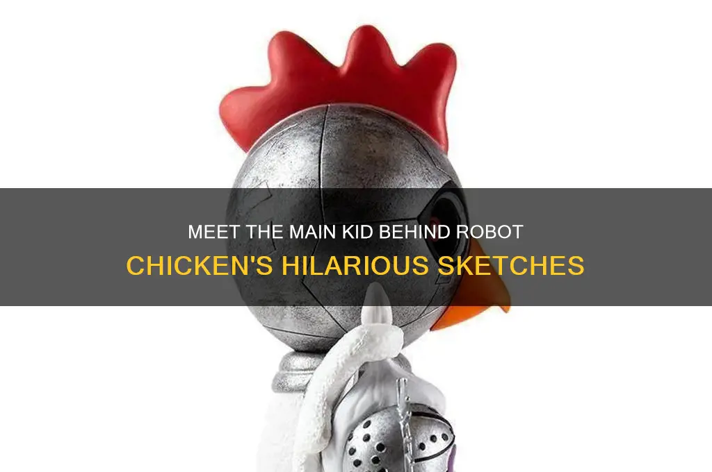 who is the main kid in robot chicken