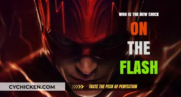 Meet The Flash's New Chick: Unveiling Her Identity and Role