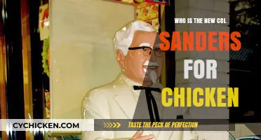 Meet the Modern Colonel Sanders: Revolutionizing the Chicken Industry