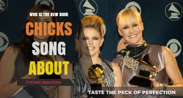 Who is the New Dixie Chicks Song About? Unraveling the Mystery