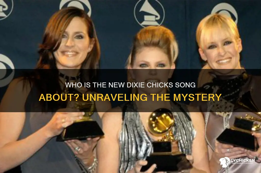 who is the new dixie chicks song about