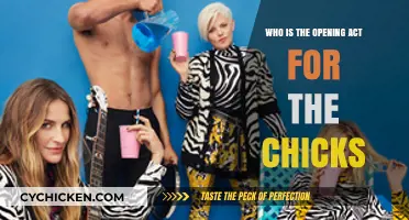 Discover the Opening Act for The Chicks' Highly Anticipated Tour