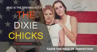 Opening Acts: Dixie Chicks' Supporting Artists