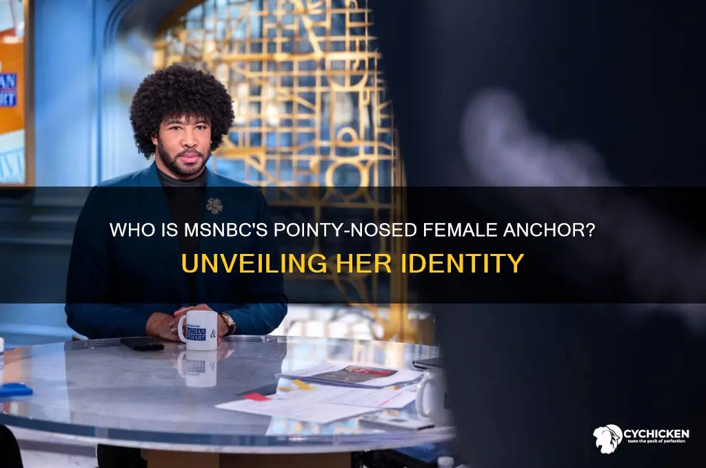 who is the pointy nose chick on msnbc