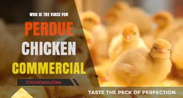 Who Voices Perdue Chicken Commercials? Unveiling the Talent Behind the Ads