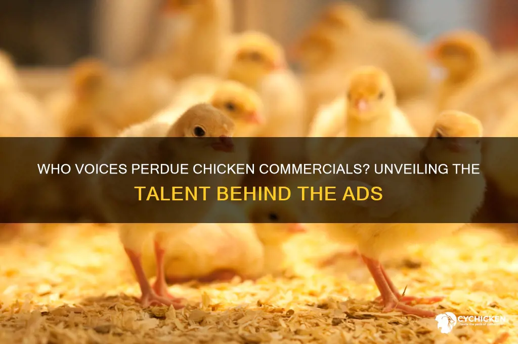 who is the voice for perdue chicken commercial