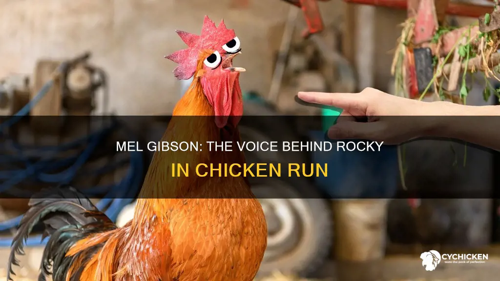 who is the voice of rocky in chicken run