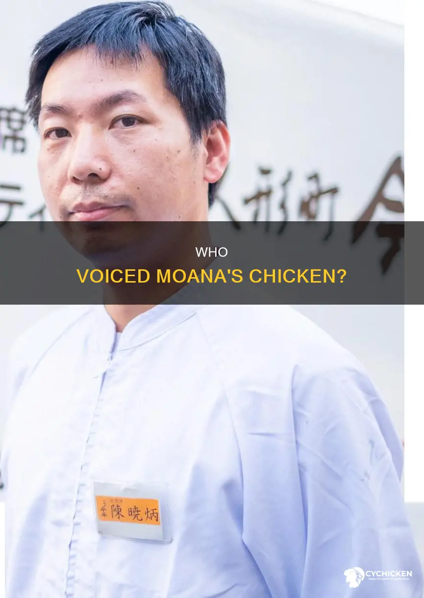 who is the voice of the chicken in moana