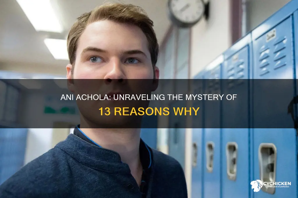 who is this ani chick on 13 reasons why