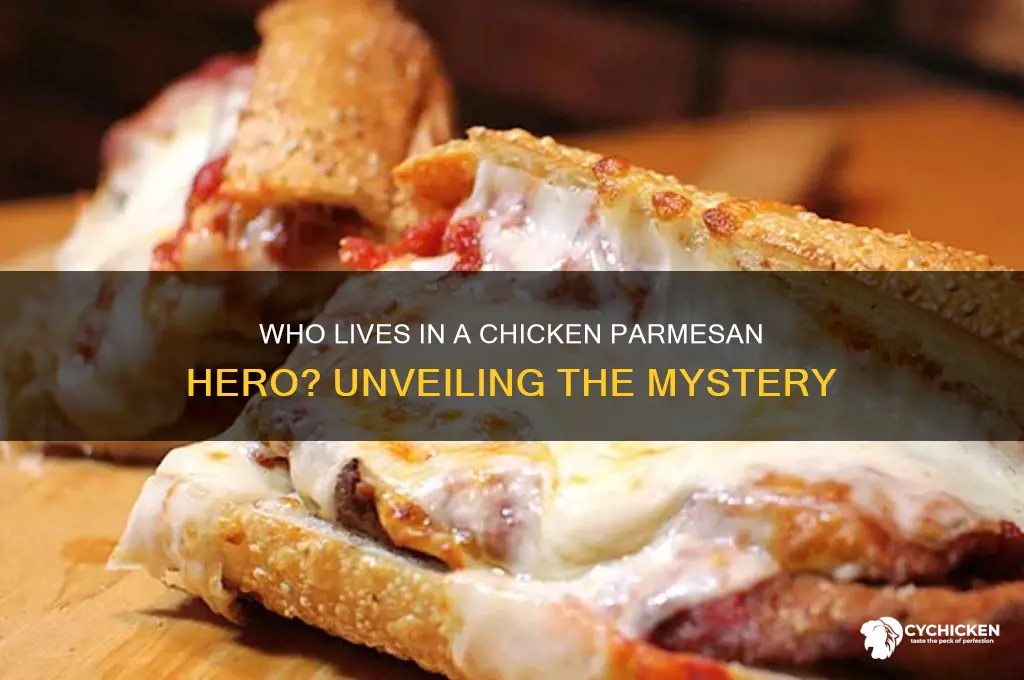 who lives in a chicken parmesan hero under