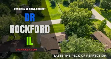 Exploring Chick Charney Dr: Who Calls Rockford, IL Home?