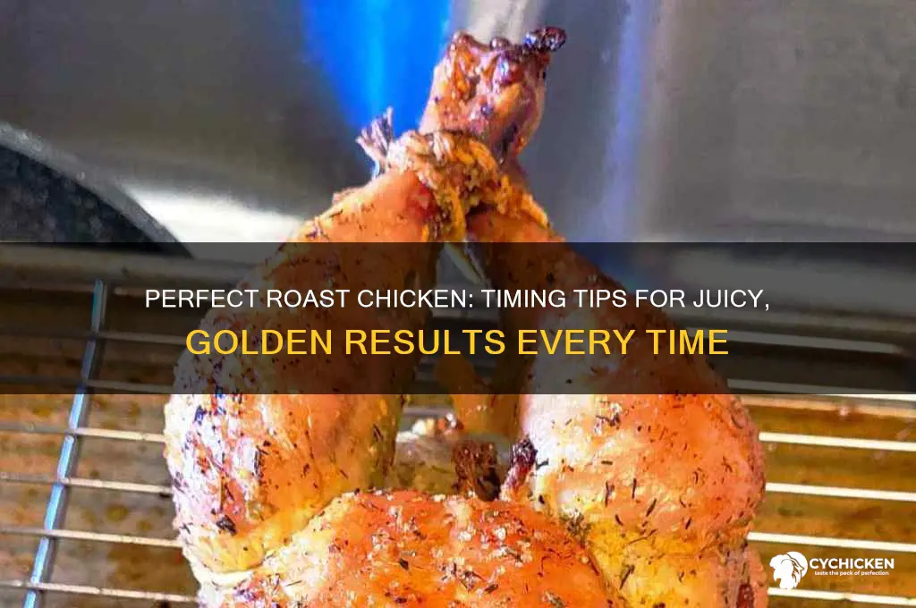 who long to roast a chicken