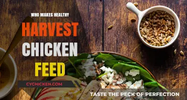 Who Produces Healthy Harvest Chicken Feed: A Comprehensive Guide