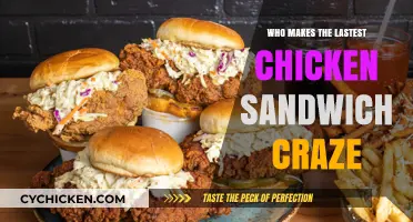 Who's Behind the Latest Chicken Sandwich Craze? Top Contenders Revealed