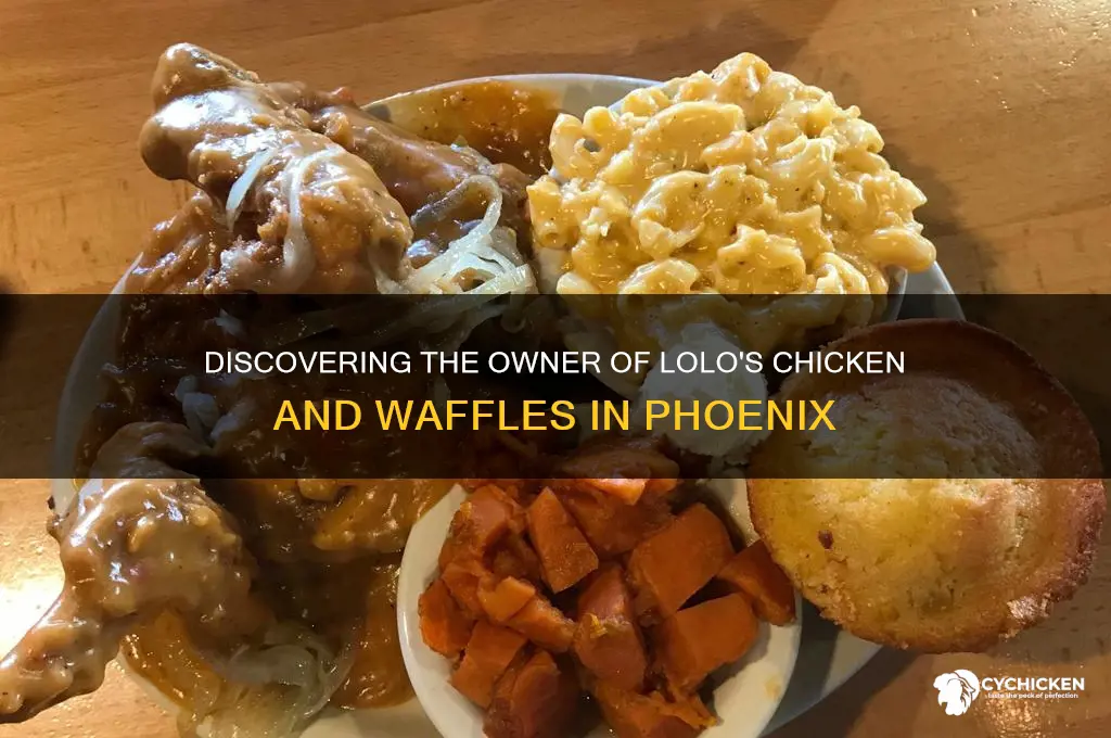 who owns lolo