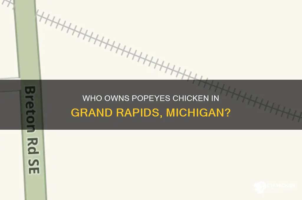 who owns popeyes chicken in grand rapids michigan