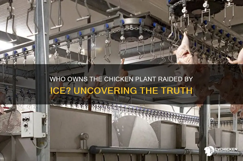 who owns the chicken processing plant ice raided