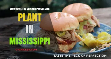Uncovering Mississippi's Chicken Processing Plant Ownership: Who's Behind the Business?