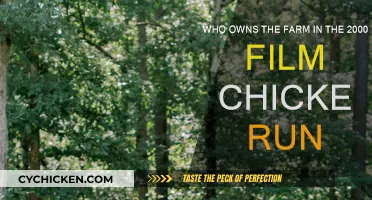 Who Owns the Farm in Chicken Run?
