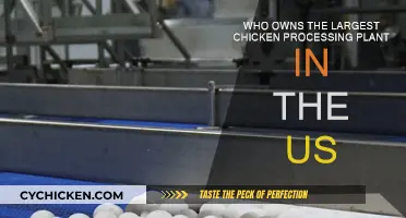 Biggest Chicken Processing Plant: Who Owns It?