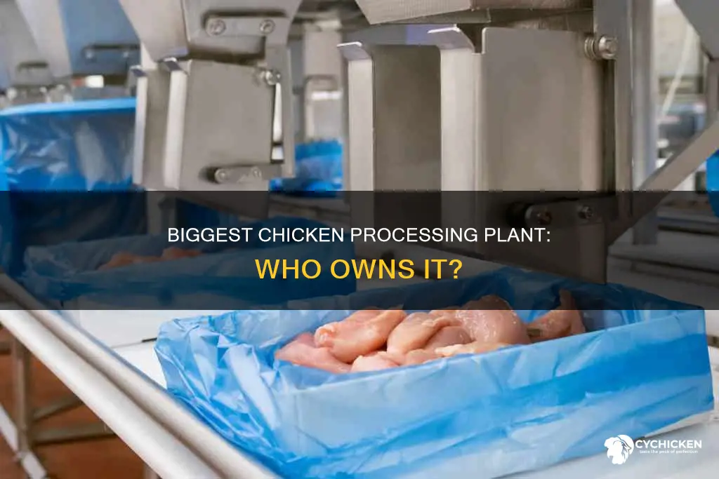 who owns the largest chicken processing plant in the us