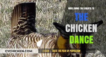 Who Owns the Chicken Dance? Unraveling the Rights Mystery