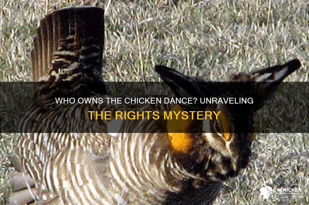 who owns the rights to the chicken dance