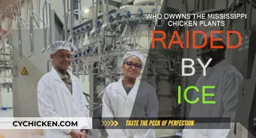 ICE Raids: Who Owns Mississippi Chicken Plants?