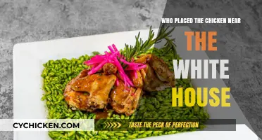 Mystery Unveiled: Who Placed the Chicken Near the White House?