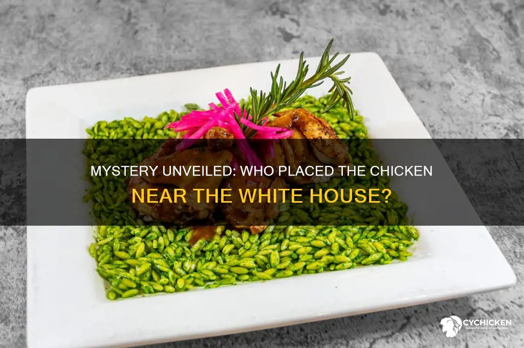 who placed the chicken near the white house