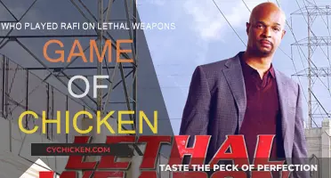 Who Is Rafi on Lethal Weapon?