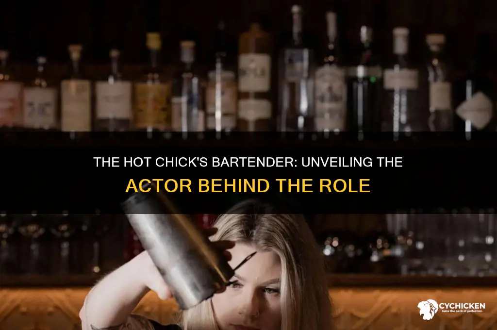 who played the bartender in the hot chick