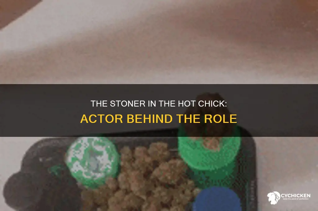who played the stoner in the hot chick