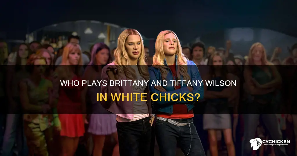 who plays brittany and tiffany wilson in white chicks