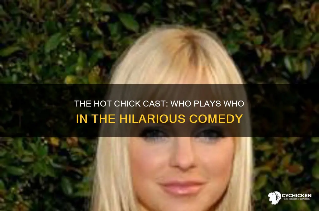 who plays in the movie the hot chick