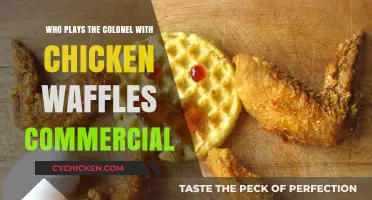 Who Plays the Colonel in the Chicken Waffles Commercial?