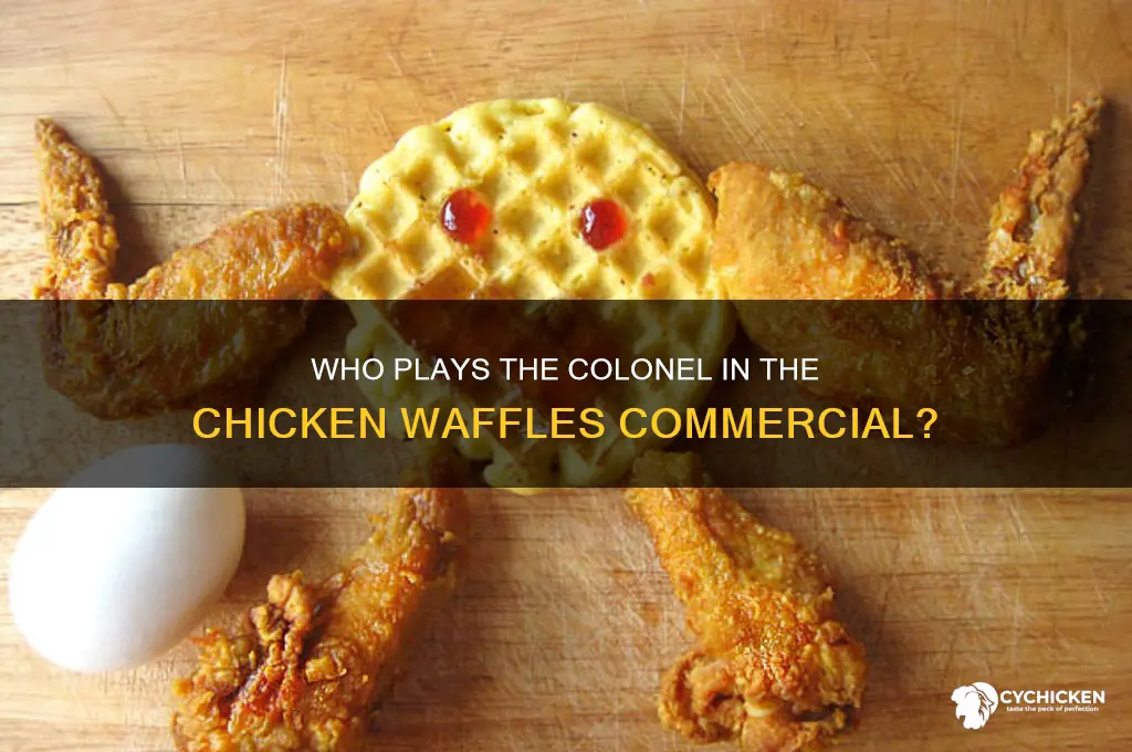 who plays the colonel with chicken waffles commercial